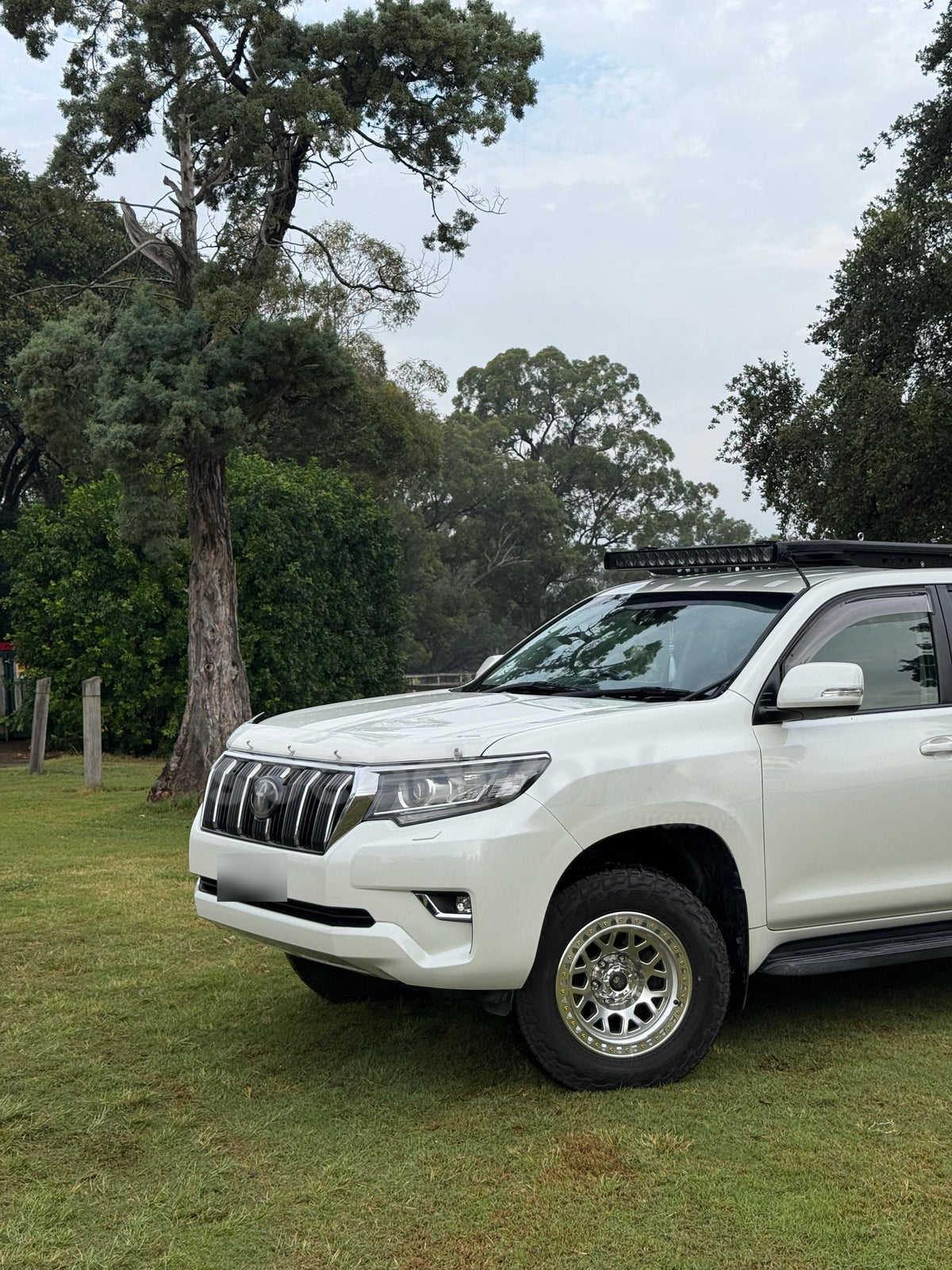 Toyota LandCruiser Prado (150) on SpeedWorks SW21 17x9.0 ±0 Machined Silver 4x4 wheels, customer photo 5 of 6