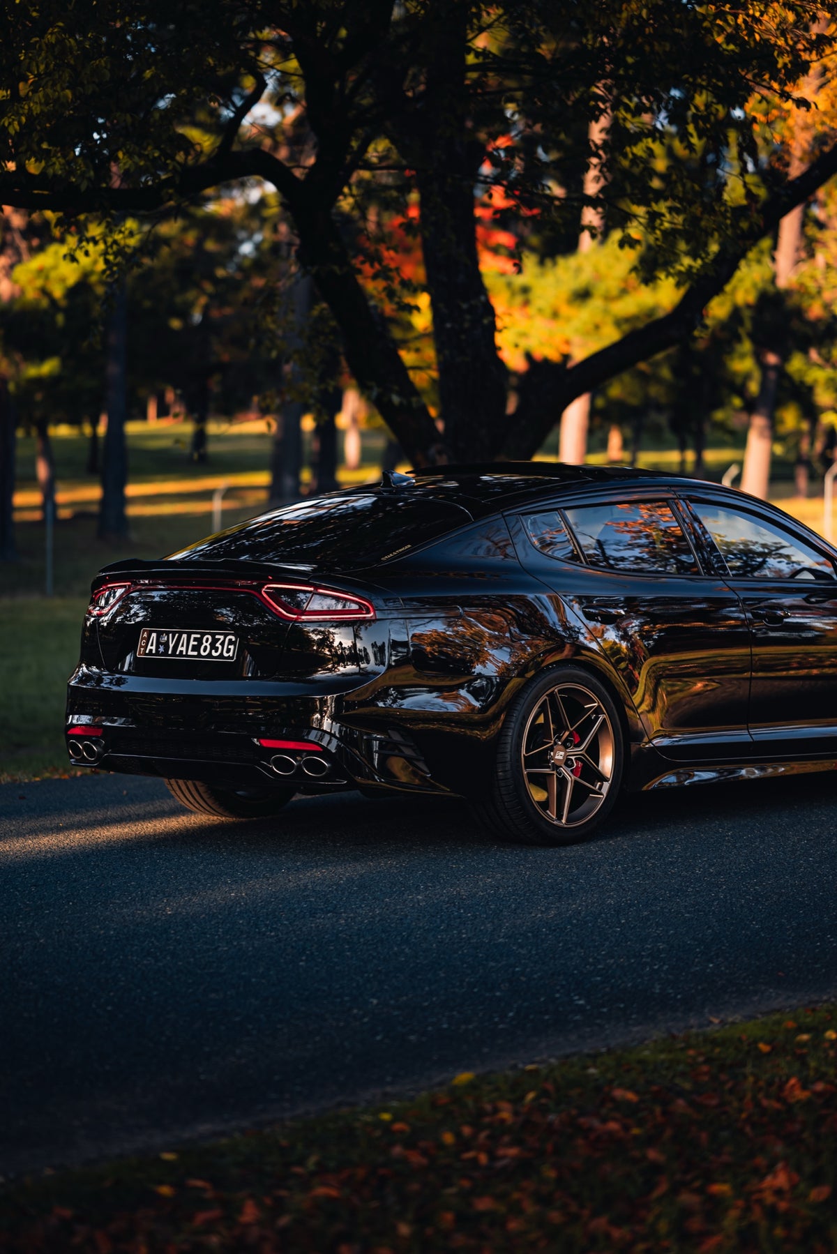 SWF04 forged wheels in Satin Bronze on a black Kia Stinger, rear three-quarter in autumn